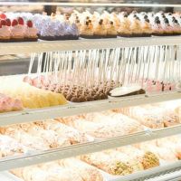 The Novel Baker ico