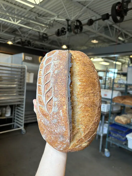 Elsewhere Bread Picture 5