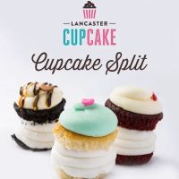 Lancaster Cupcake ico