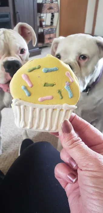 Lancaster Cupcake Picture 9