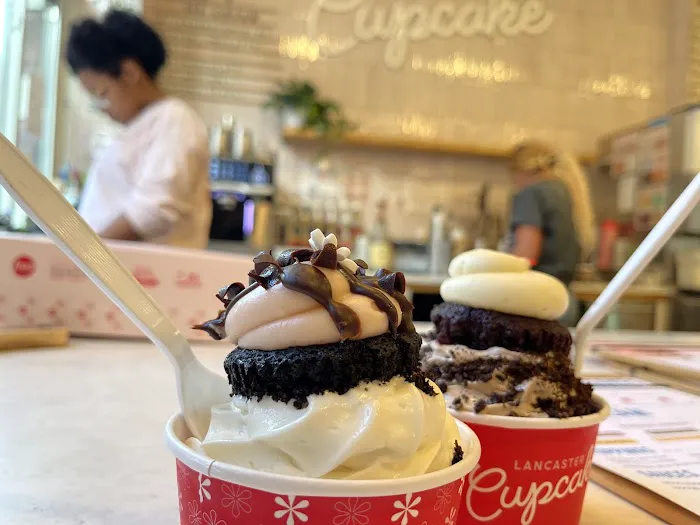 Lancaster Cupcake Picture 6