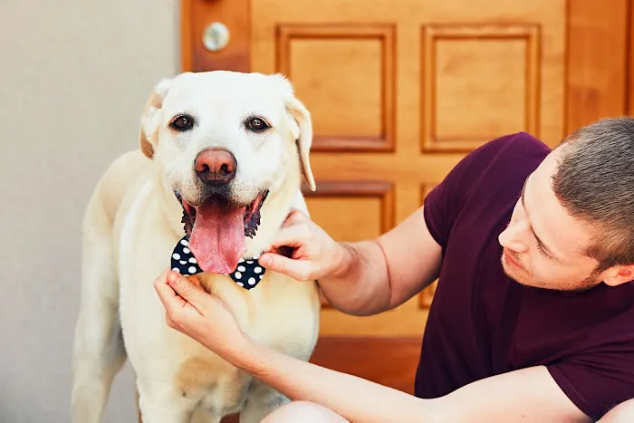 Lucky Dog Bakery Picture 9