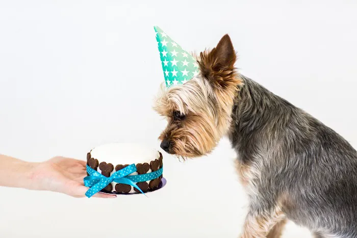 Lucky Dog Bakery Picture 8