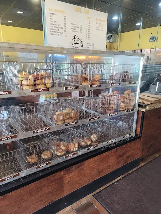 Bagel Land Picture 5
