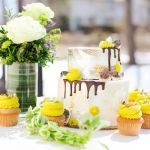 SLB cakes