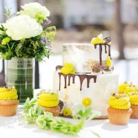 SLB cakes ico