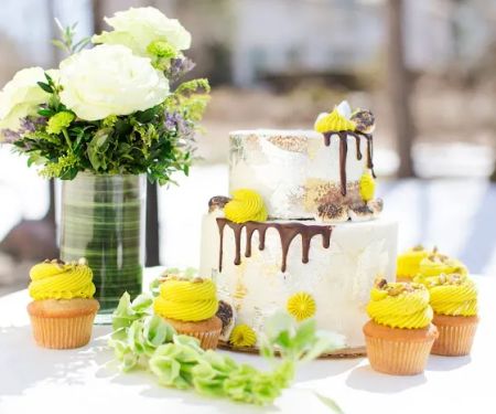 SLB cakes