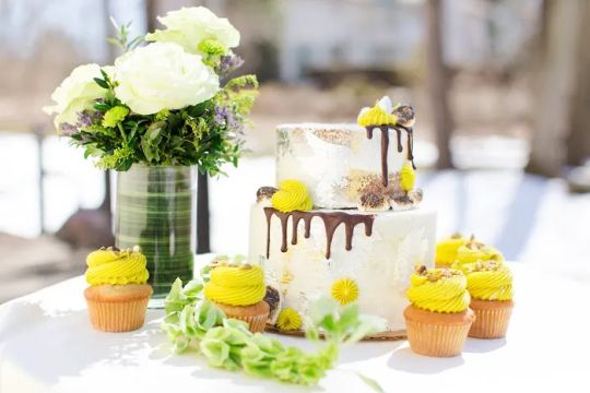 SLB cakes