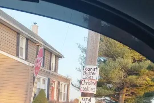 Amish pie stand