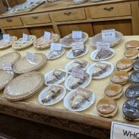 Dutch Haven Shoo-Fly Pie Bakery ico