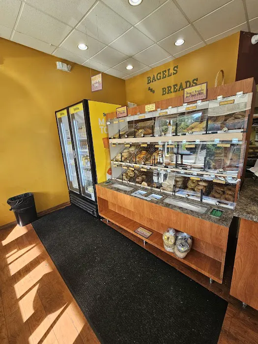 Village Bagel Company Picture 5