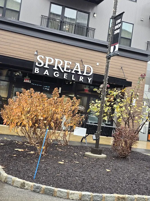 Spread Bagelry Picture 6