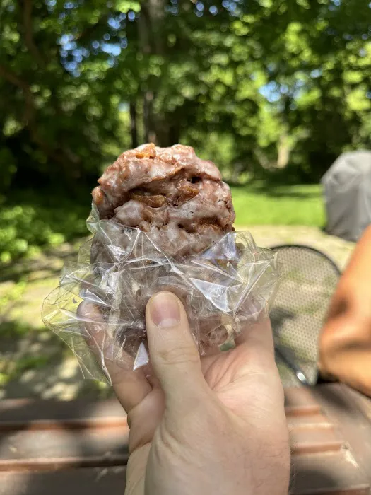 Amy's Apple Fritters at amysdetroit.com Picture 4
