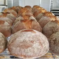 One Love Bread ico
