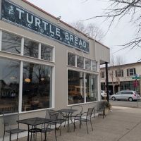 Turtle Bread ico