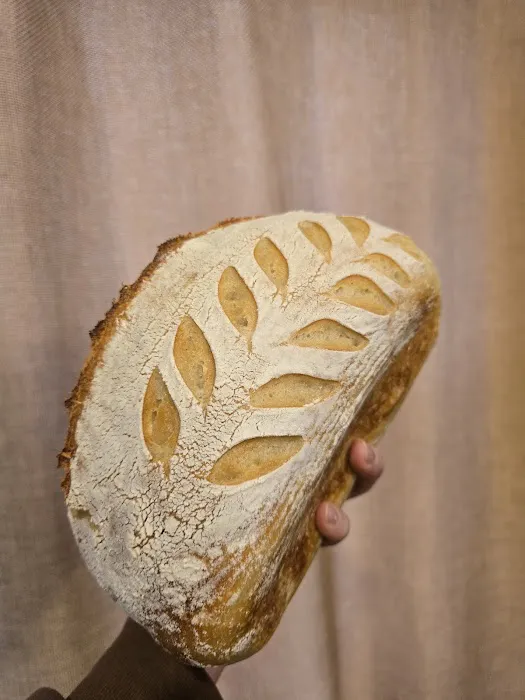 Sonnie's Sourdough, LLC Picture 2