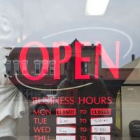 Sweet Kneads Cannon Falls Bakery ico