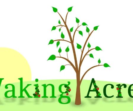 Waking Acres Farm