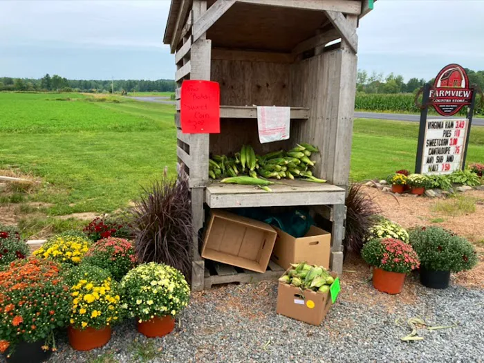 Farmview Country Store Picture 7