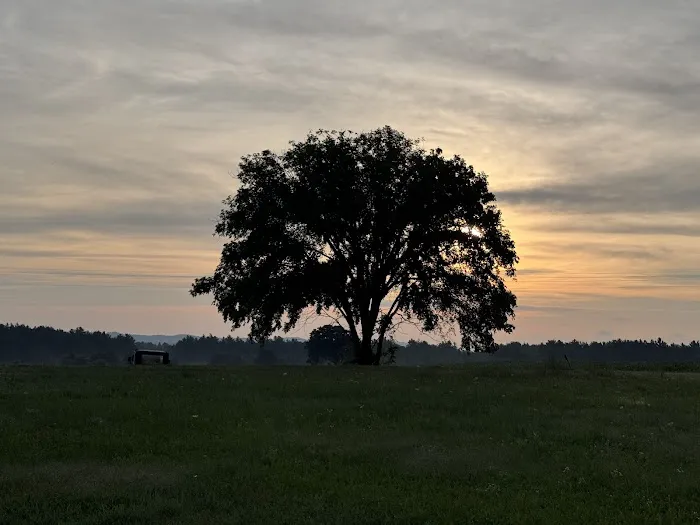 Zillmer Farms Picture 1