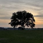 Zillmer Farms