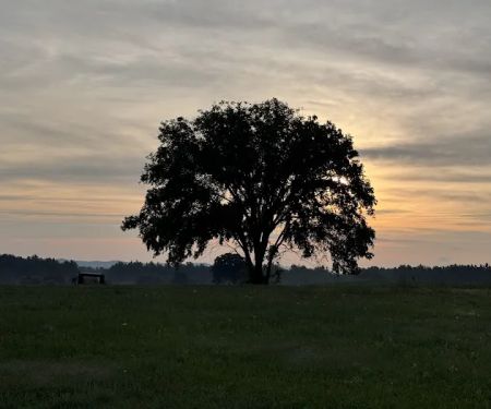 Zillmer Farms