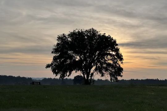 Zillmer Farms