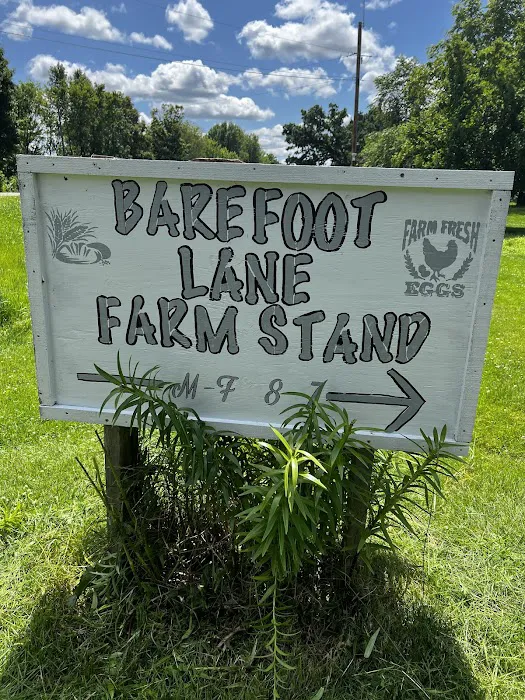 Barefoot Lane MN Picture 4
