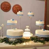 Cakery & Bake Shop LLC ico