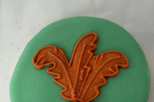 Sweet Envy Bakes