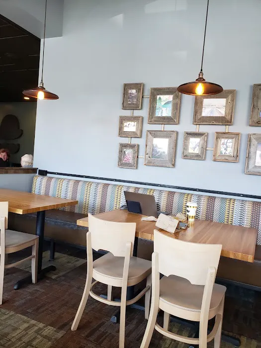 Einstein Bros. Bagels Picture 7