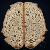 ORIGIN Breads ico