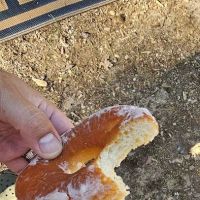 Oven Fresh Bakery ico