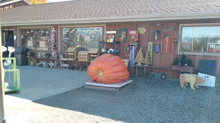 Tom Dooley Apple Orchard Picture 10