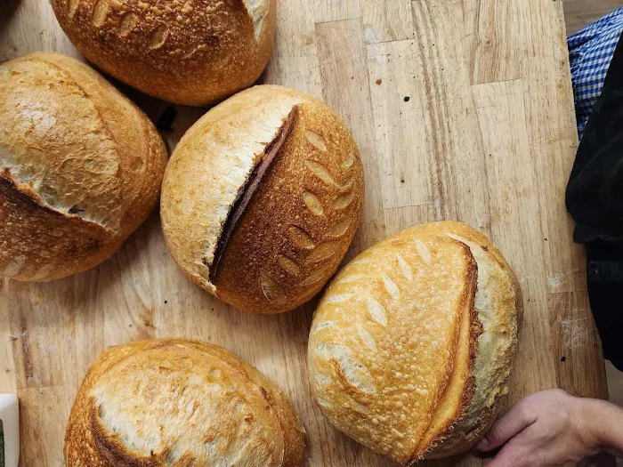 Our Daily Bread Picture 4