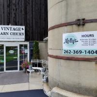 Molly's Gluten Free Bakery ico