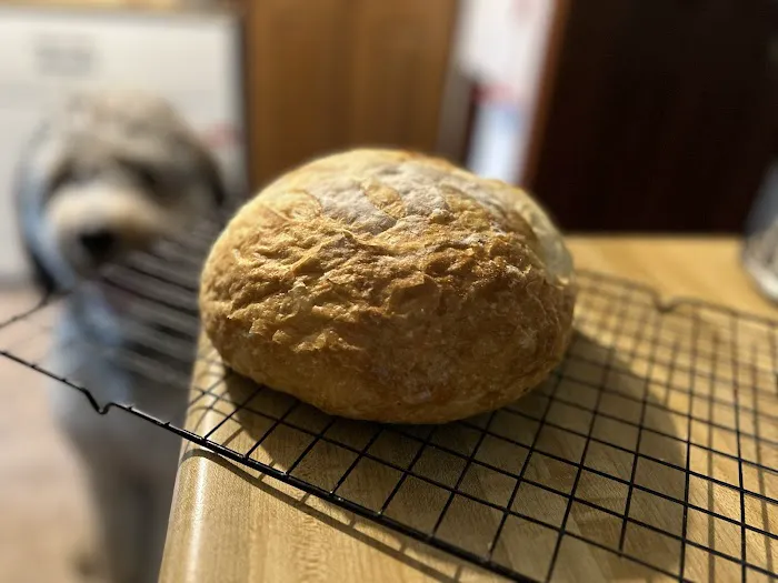 Ana's Front Porch Bakery Picture 1