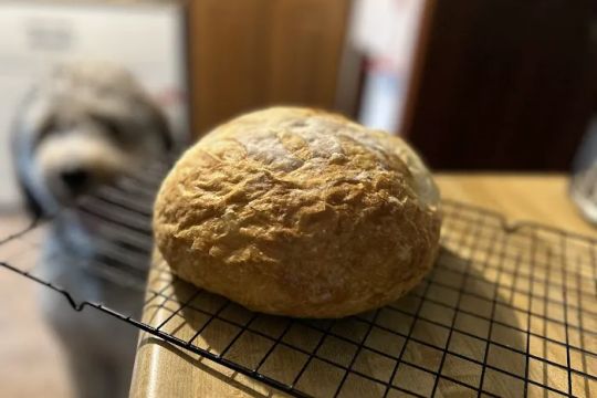 Ana's Front Porch Bakery