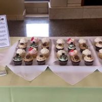 Mindy's Cupcakes ico