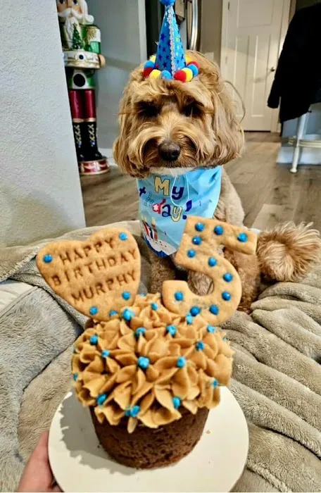 Lucky Mutts Bakery LLC Picture 8