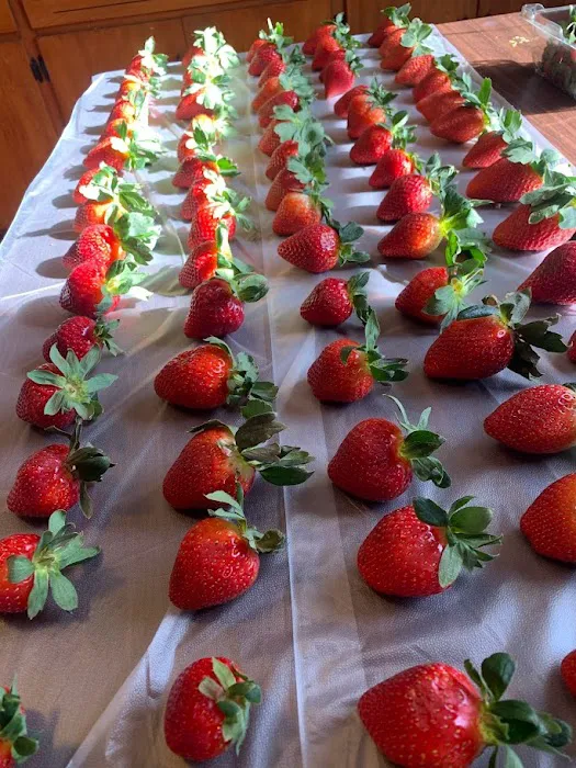 Annie Z's Sweet Treats Picture 7