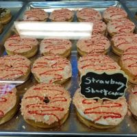 Donut Squad Waukesha ico