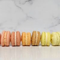 Whisk & Arrow Sugar Studio ico
