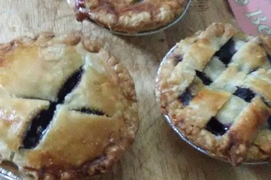 Zans Mini Pies