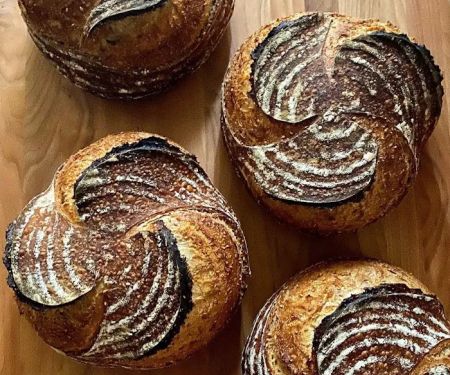Hollyberry Bakery
