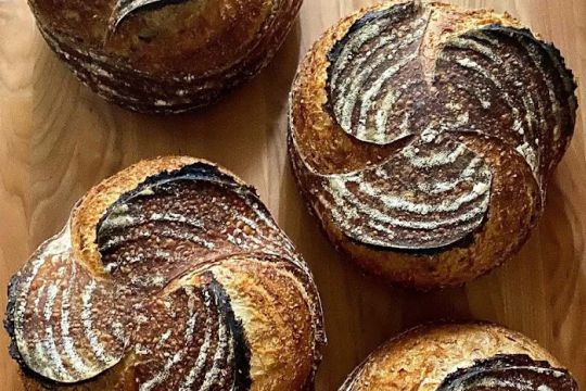 Hollyberry Bakery