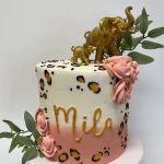 Cake Anatomy LLC