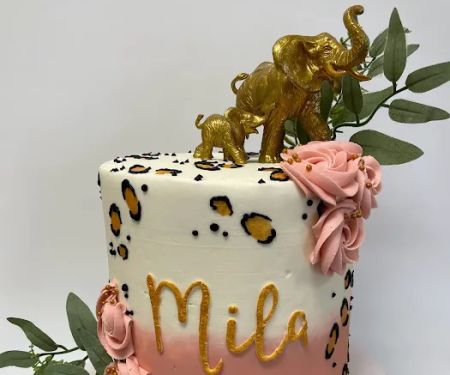 Cake Anatomy LLC