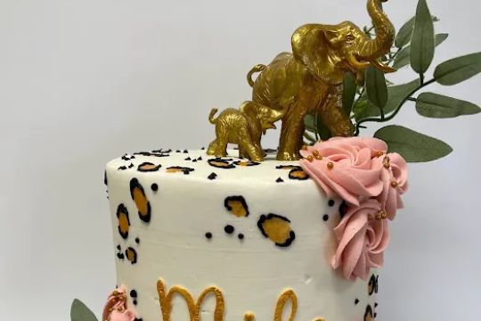 Cake Anatomy LLC