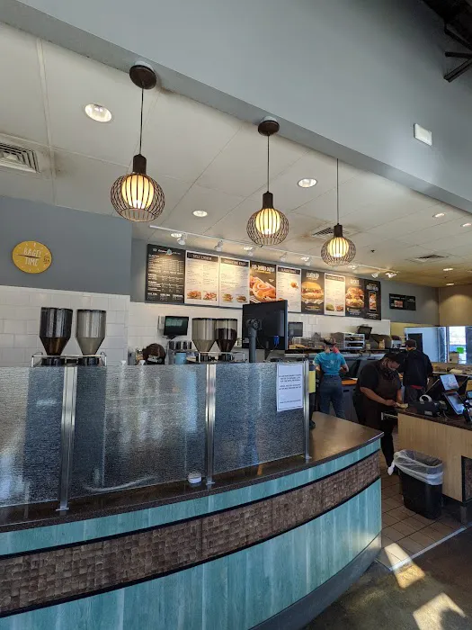 Einstein Bros. Bagels Picture 3